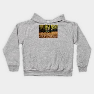 ‘Dark Wood’ - Autumn arrives, leaves fall Kids Hoodie